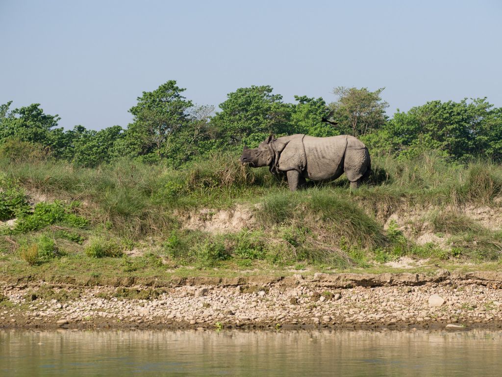 Chitwan Nationalpark © by Rudolf Hatheyer